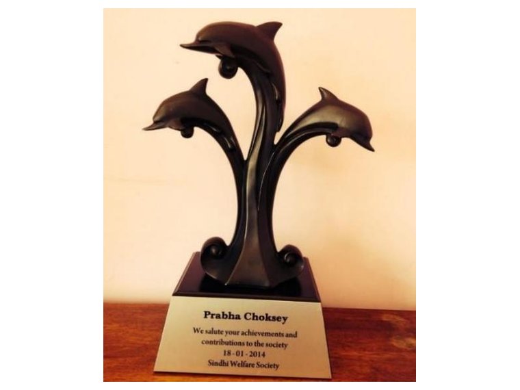 Sindhi Welfare Society Award